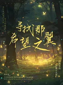 寻找那希望之翼