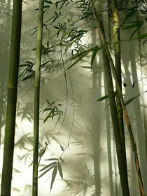 等着谁