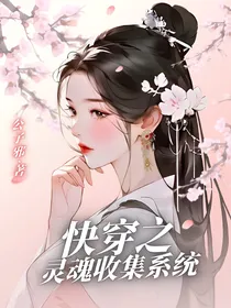 快穿之灵魂收集系统
