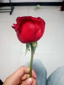 五年……，