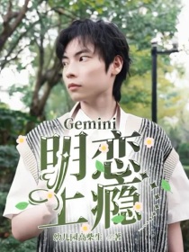 Gemini：明恋上瘾