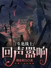 斗龙战士：回声嚣响