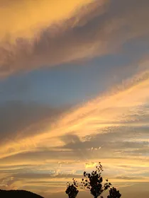 思无声