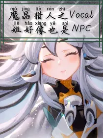 魔晶猎人之vocal姐好像也是NPC