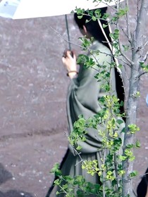 莲花楼：莲花败柳
