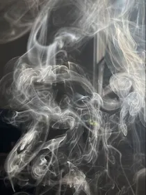 我在虐文里当小透明