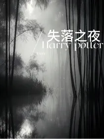 hp之失落之夜
