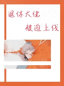 退休大佬被迫上线