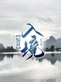 惊封：入境