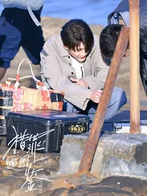 猎罪图鉴：沈老师为何那样