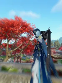 落花随拾