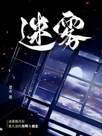 迷雾：淮逸