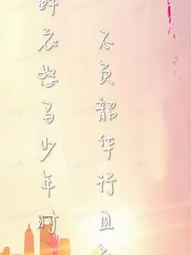 蝉鸣盛夏CMSX