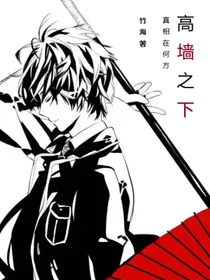 原创：高墙之下