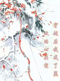 穿越后我成了嬴政的心尖宠