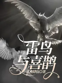 HP：雷鸟与喜鹊
