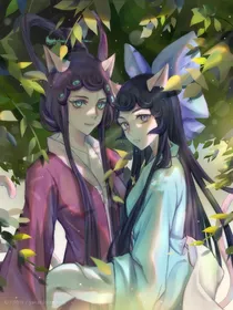猫土法典