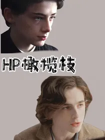 HP橄榄枝