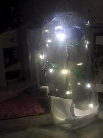 脆弱的时光
