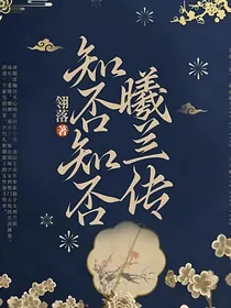 知否知否曦兰传