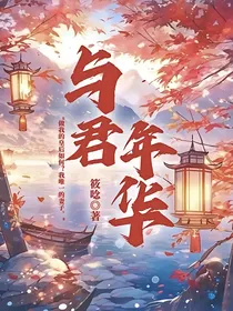 与君年华