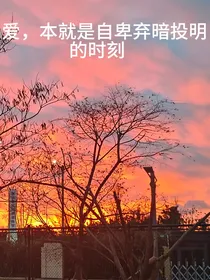 你是夏天给予我的明媚