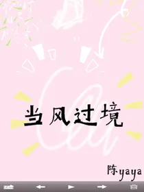 当风过境