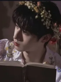 TF家族：死循后大佬们都黑化了