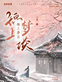 锦上梦谈
