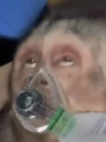 因为不够强所以只好诅咒自己了