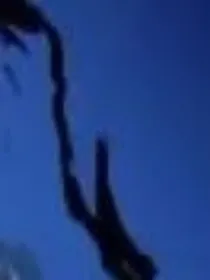 他死在了我最爱他的那天