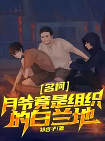 名侦探柯南：最后的真相
