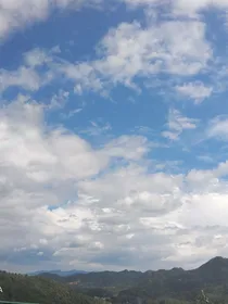 夏天啊，请带走我的思念