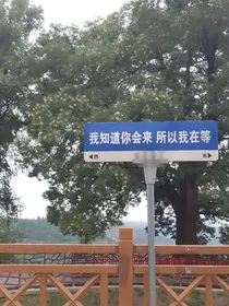 跨越时光的单恋情怀