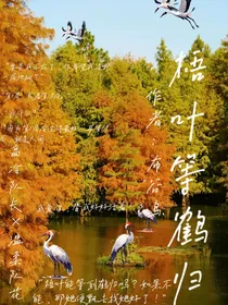 梧叶等鹤归