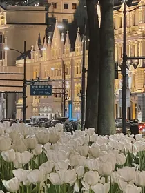 你永远值得最好的