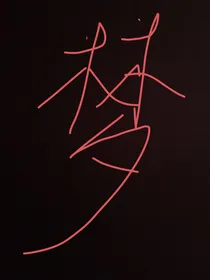 她曾经来过的梦