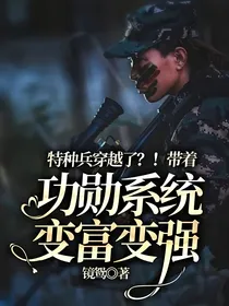特种兵穿越了？！带着功勋系统变富变强