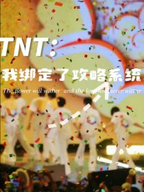TNT：绑定攻略系统