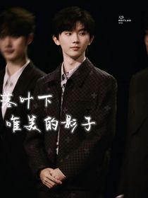 落叶下的唯美影子