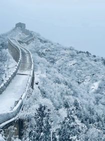 穿书后我跟重生男二圆满了