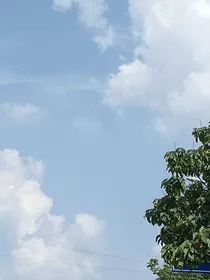 你饭碗炸了