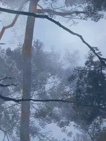 角声满天秋色里