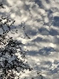 文案馆（时更随笔）