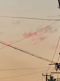 聪明的顺溜之卑微的爱