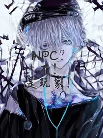 NPC？不！是玩家！