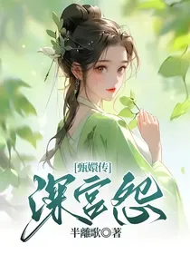 甄嬛传：深宫怨