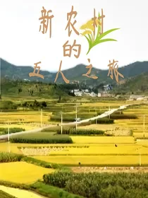 新农村的五人之旅