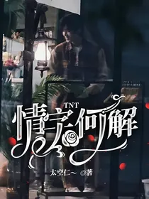 TNT情字何解