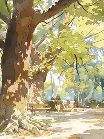 挽留不住的阳光